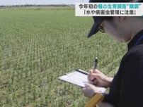 “おおむね順調” 青森県の稲の生育調査　「水や病害虫管理に注意」