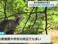 青森県は情報発信を強化　クマの生息数の推定調査も実施へ