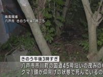 14日に発砲したクマか　八戸市で死んだクマ1頭発見