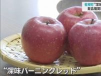 「深味バーニングレッド」リンゴの新品種開発で短命県返上へ／青森・板柳町