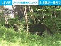 山林で休憩していた男性がクマに襲われる、頭や背中をケガ 栃木・日光市