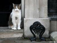 英首相官邸の猫「ラリー」 次の同居人は初の労働党首相か