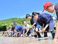 地域の田んぼ未来へ　旅行会社が維持に協力、和歌山県田辺市の近露地区