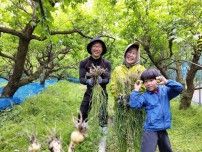 家族で みなべ町へ！　梅収穫ワーケーション、キッズスクール始める、和歌山