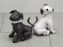 25年前の“1999年6月1日”、子犬型ロボット「AIBO」が発売に！ 振り返ると25年でのAI進化がすごい