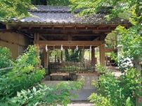 清々しく朝を始める『梨木神社』の名水。京都さんぽ部部長の、 ひとりで過ごす京都、10のこと。