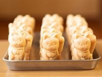 初夏の京都に日本各地から和菓子店が集う。「山滴る、甘党市2024」が『立誠ガーデンヒューリック京都』にて6月16日に開催。