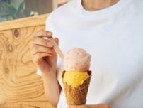 〈ホリデイアイスクリームストア〉のアイスクリーム：＆days よい一日を、このアイテムと。