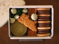 【ご当地クッキー】関西土産の新定番！ ご当地クッキーの新作2選【anna 関西まとめ】