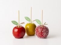 甘いの？ しょっぱいの？ 青森りんご専門店「あら、りんご。」から「塩りんご飴」が新登場！