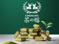 品川初登場！お抹茶スイーツ専門店『KAMAKURA 茶の福』のポップアップが期間限定オープン