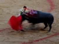 スペインの闘牛場、「子どもは無料」　 動物福祉で国民的議論に