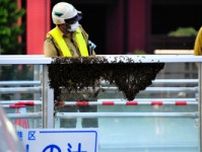 歩道橋にミツバチが大量発生　「巣分かれ」に伴う現象か　東京・港区