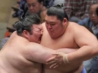 5年ぶりに大相撲が静岡市にやってくる　10月、熱海富士や翠富士も