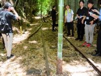 「日本一美しい廃線跡」、レール間に生えるシンボルの竹が世代交代