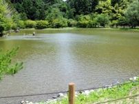 昨年の大雨で被害　白水阿弥陀堂の浄土式庭園が再開