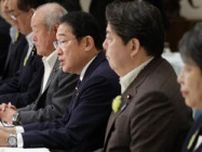 日韓豪NZで首脳会談へ　岸田首相の訪米、バイデン氏も参加の可能性