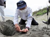 今年もアカウミガメが産卵　最速記録を1日更新　宮崎・延岡