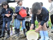 香美町の矢田川で子どもたちがアユの稚魚を放流　「大きくなってね」