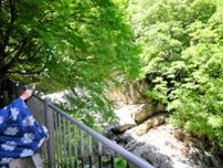 「日本の滝」百選の名所で山川開き、川遊びの安全祈願