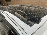 春になると嫌なアイツ…… 車につく「花粉・黄砂」の汚れを撃退！正しい洗車方法とは？