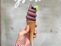 インスタで人気のおしゃれ＆かわいいソフトクリームが続々登場！この夏絶対食べたい♡｜7月3日はソフトクリームの日