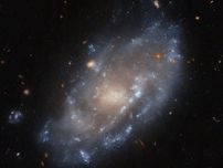 おとめ座銀河団の矮小銀河IC 776　ハッブル望遠鏡が撮影