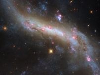 おとめ座銀河団に属する棒渦巻銀河NGC 4731　ハッブル宇宙望遠鏡が撮影