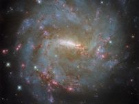 りゅうこつ座の棒渦巻銀河NGC 3059　ハッブル宇宙望遠鏡が撮影