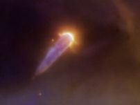 大質量星に惑星の材料を剥ぎ取られた、オリオン星雲にある若い恒星「177-341 W」