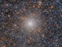 過去の銀河合体の目撃者か？　大マゼラン銀河の球状星団NGC 2005　ハッブル望遠鏡が撮影