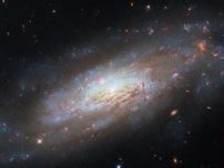 おとめ座の渦巻銀河NGC 4951　ハッブル宇宙望遠鏡が撮影