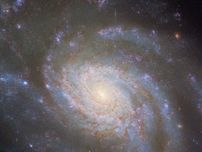 超新星が光る渦巻銀河NGC 3810　ハッブル望遠鏡が撮影