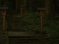 ホタル撮影いつまでも　有名スポット、御殿場・二岡神社　ボランティアが独自ルール「生息地守る」
