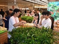 東京駅に“茶畑”出現　７種の緑茶飲み比べ、茶摘み体験も　島田市、８日までＰＲイベント