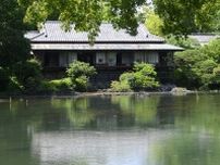 三島・楽寿園の小浜池、２年連続「満水」　深緑が水面に映える珍しい光景広がる