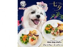 愛犬用の七夕限定メニュー「スターフェスティバルプレート」発売、お寿司とそうめん