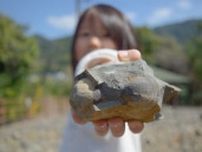 夏休みは熊本・天草市の離島で、ほぼ100％見つかる「化石収集体験」