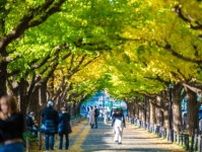 神宮外苑1000本伐採で「都民の熱中症リスク高まる」気候学者の“東京熱帯化”メカニズムとは