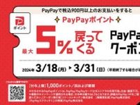 最大1000円分お得！ウェンディーズ・ファーストキッチンで「PayPay」キャンペーン始まってるよ〜。