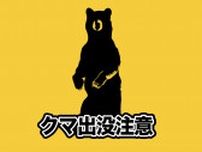 「神社近くの民家の裏にクマが…」体長0.5mのほどのクマの目撃情報　新潟・村上市山北地域