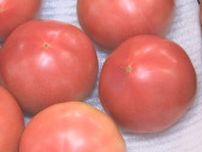 野菜が安い「トマト」は例年の半値　「キャベツ」も価格が急落…なぜ？　お手頃野菜で猛暑を乗り切れ