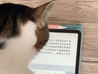 「お仕事してて偉すぎる」 タブレットに向かう愛猫を背後からのぞいたら“暗号文”が書かれていた！