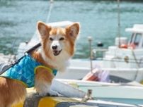 この夏は愛犬との船旅ですてきな思い出を作りませんか？