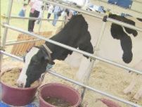 千葉の健康は”牛乳”から　ミルクフェスティバル開催
