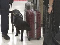 「新紙幣の匂いもお任せ」 紙幣探知犬が成田空港に全国初導入