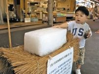 氷室開きの雪氷 冷たっ！　近江町で展示
