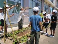 ヘチマ栽培、棚作り　浜松・村櫛小児童取り組み