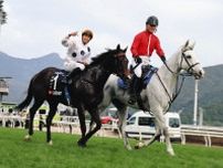 【小泉恵未コラム】来週の香港は日本馬に厳しい？雨予報 マイラーズCでは「阪神でも金、京都でも金」の走り見たい