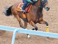 阪神牝馬S3着のモリアーナ、納得の仕上がりに武藤師「差のない競馬ができると思う」【ヴィクトリアマイル】